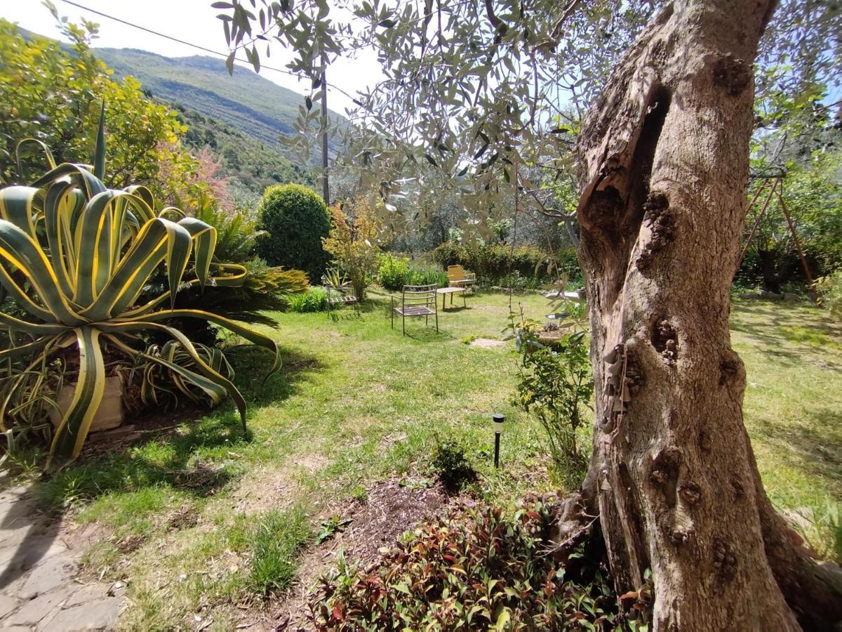 Casa di Nin Apartment Torbole Sul Garda Bagian luar foto