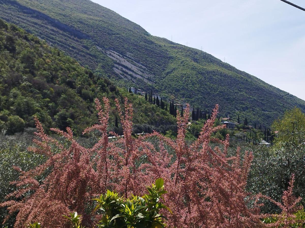 Casa di Nin Apartment Torbole Sul Garda Bagian luar foto