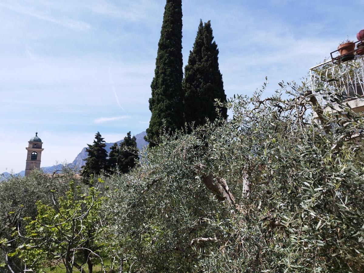 Casa di Nin Apartment Torbole Sul Garda Bagian luar foto