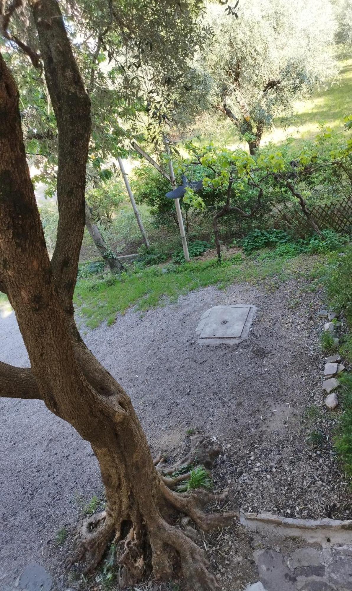 Casa di Nin Apartment Torbole Sul Garda Bagian luar foto